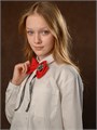 Галстук-бабочка темно-синий BAZANOVA 006-0029С